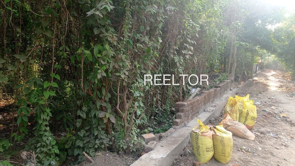 Available 1 Bhk In Vidaj Kadi