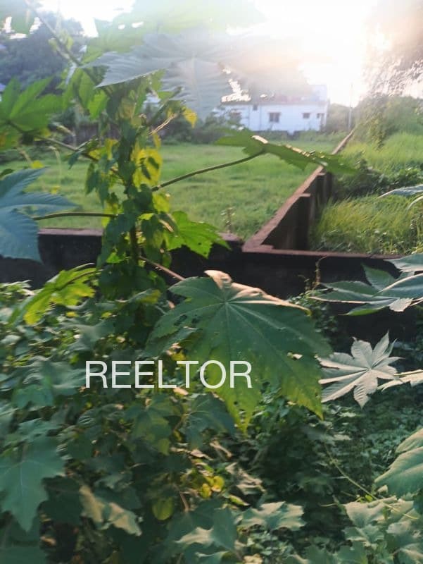 Plot For Sale In Nandurbar