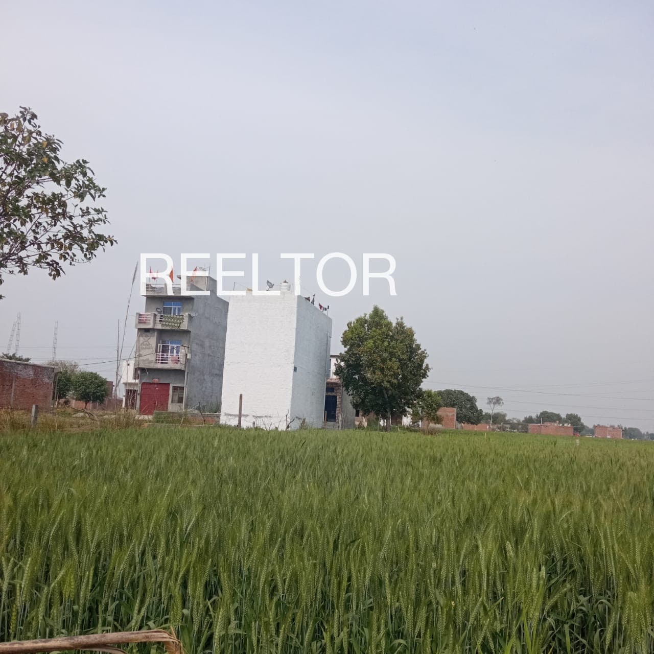 3 Bhk For Sale In Kolpuri Tharali