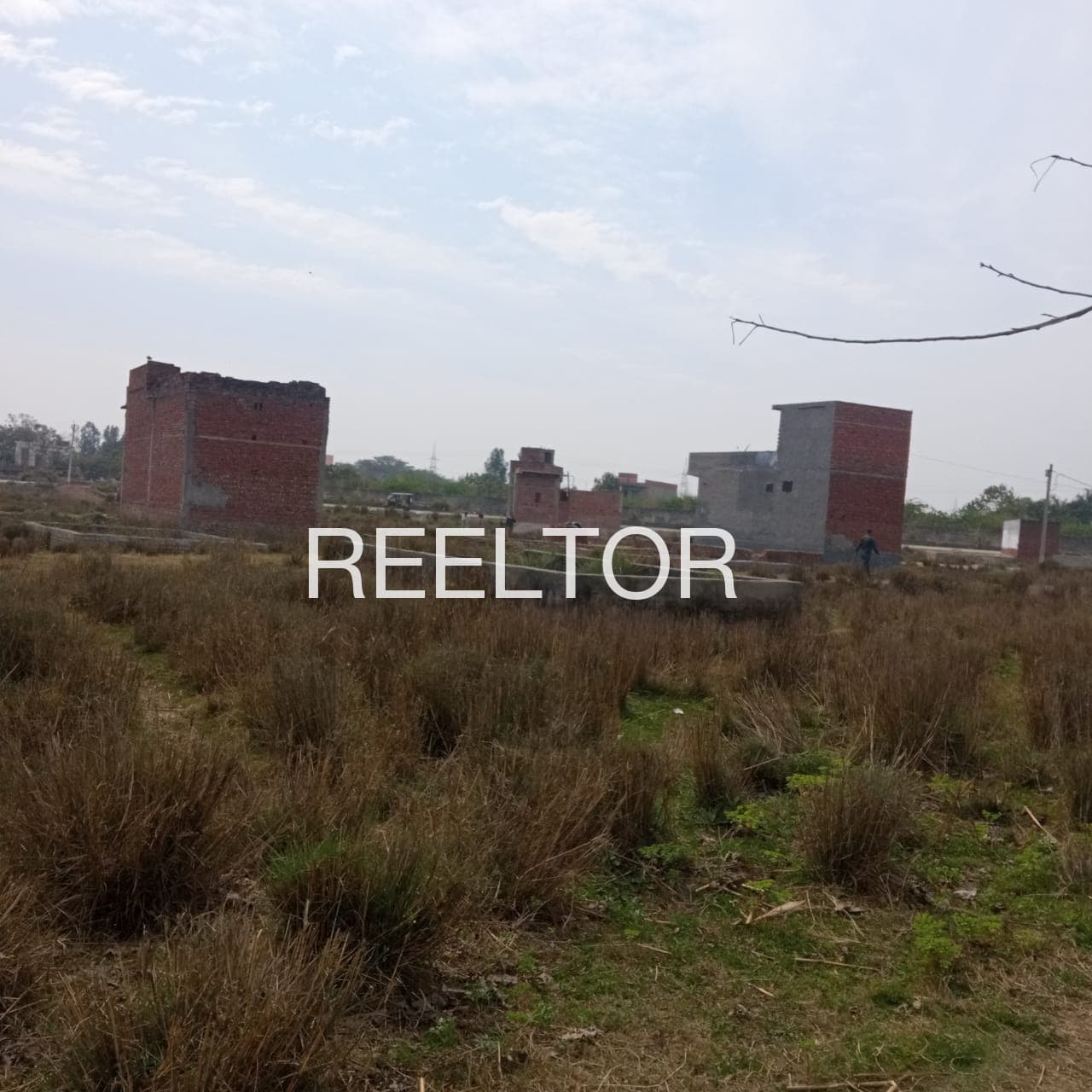 Buy 3 Bhk In Singho Talwandi Sabo