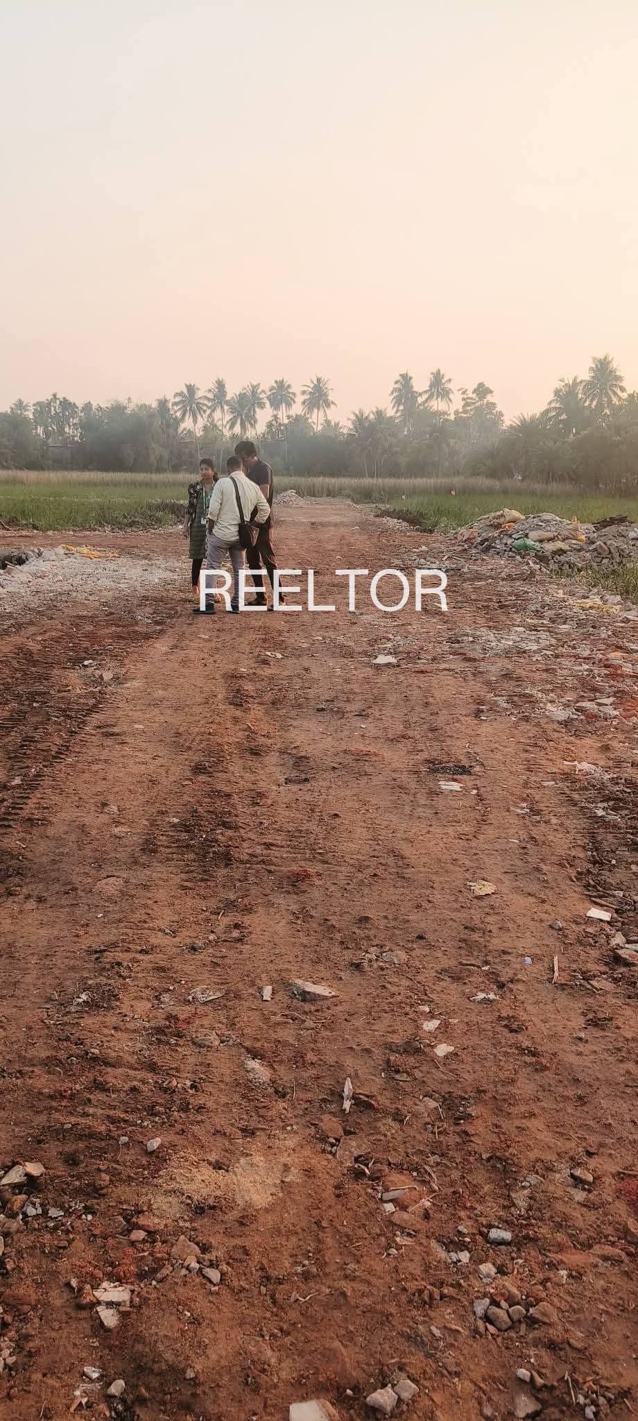 Available 3 Bhk In Balmand Mandi