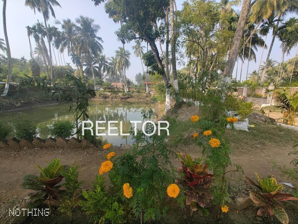 Plot For Sale In Mauganj