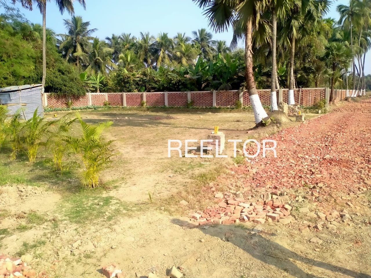 Buy 3 Bhk In Badiala Rampura Phul