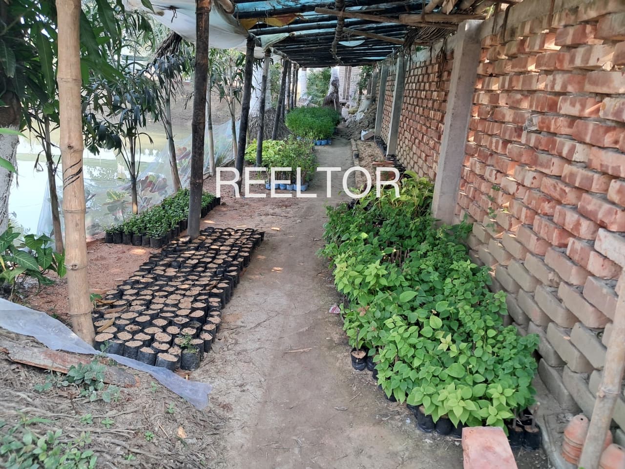 Explore 4 Bhk In Bhondalkheri For Sale Damoh