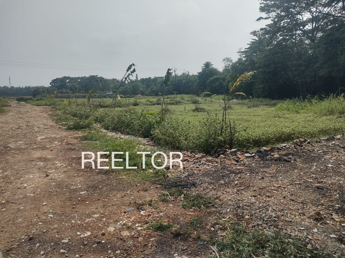 Plot For Sale In Mauganj