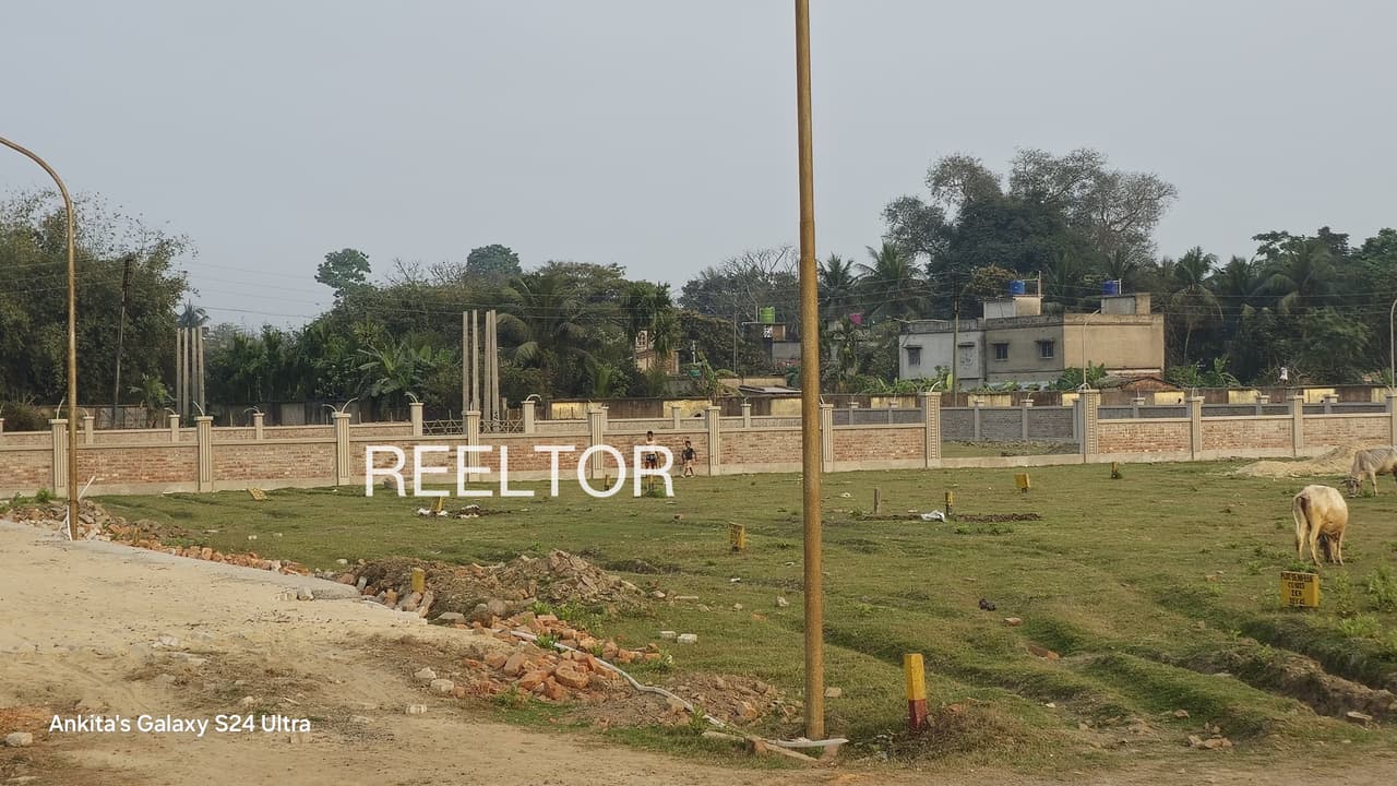 Plot For Sale In Tulsipur