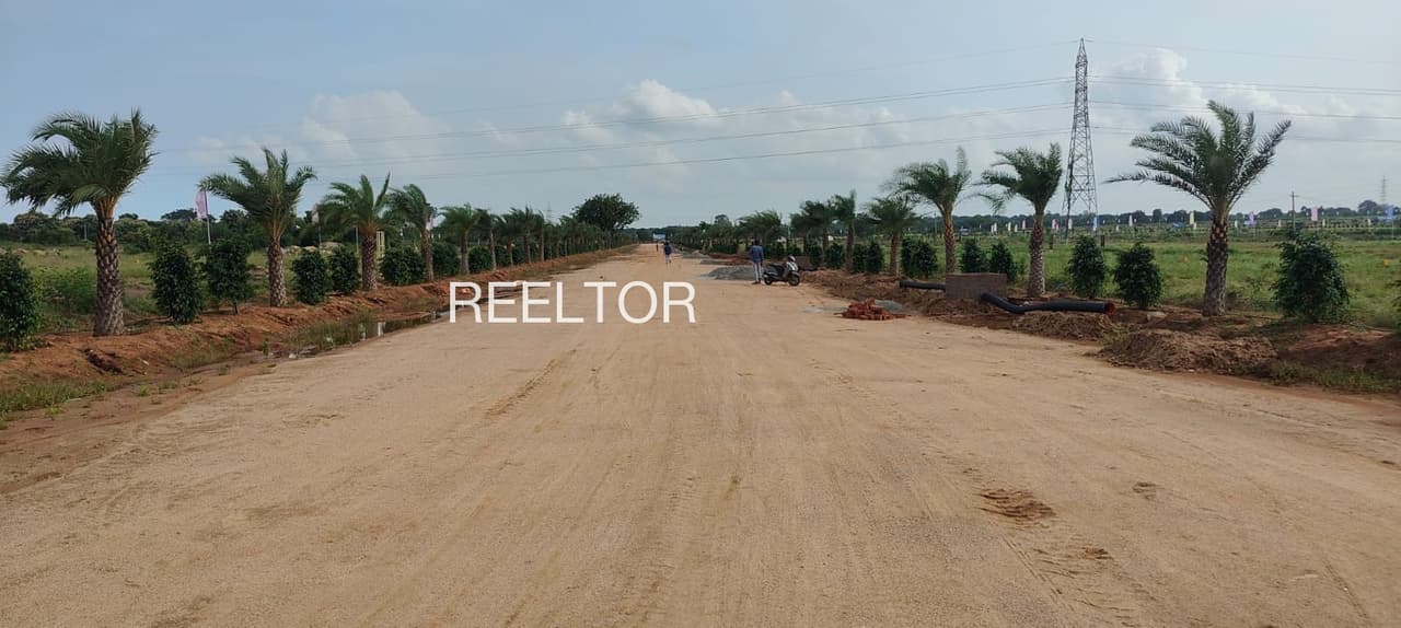 Plot For Sale In Mahidpur