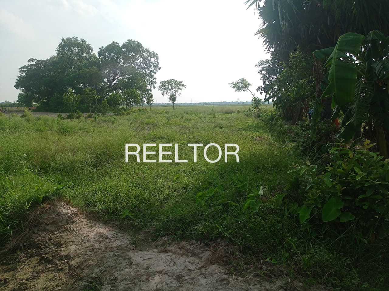 Plot For Sale In Tiruttani
