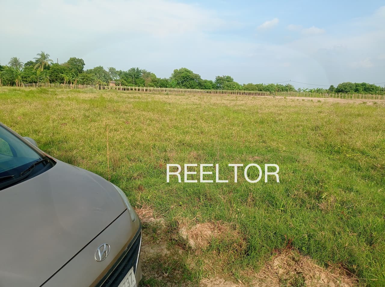 Plot For Sale In Mahidpur