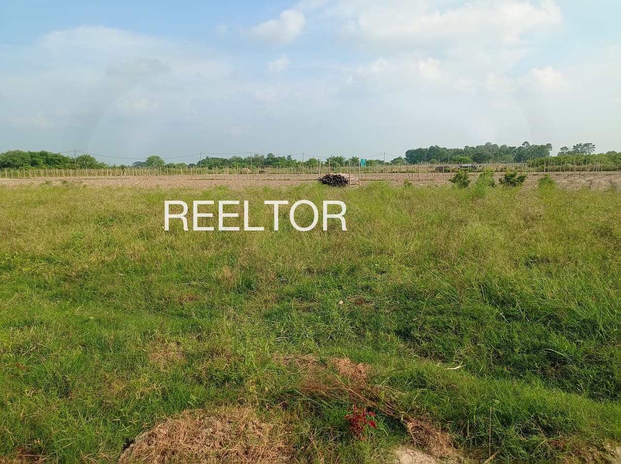 Plot For Sale In Narasaraopet