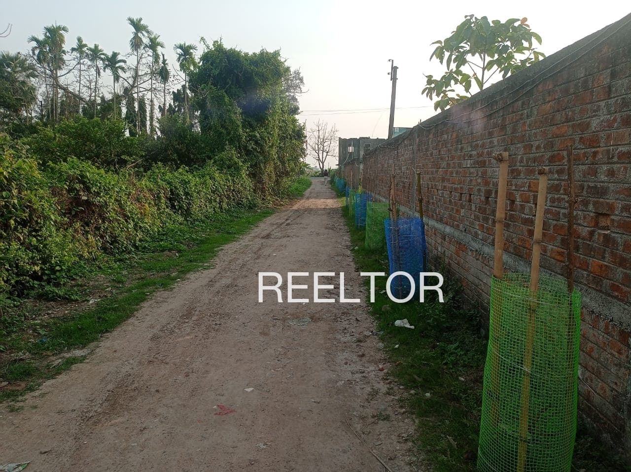 Plot For Sale In Nandura