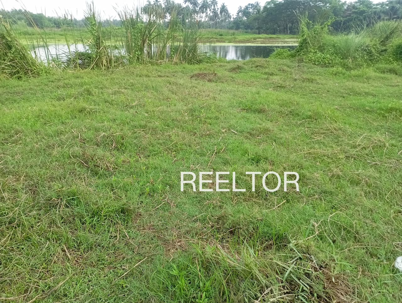 Buy 4 Bhk In Gagal Mandi