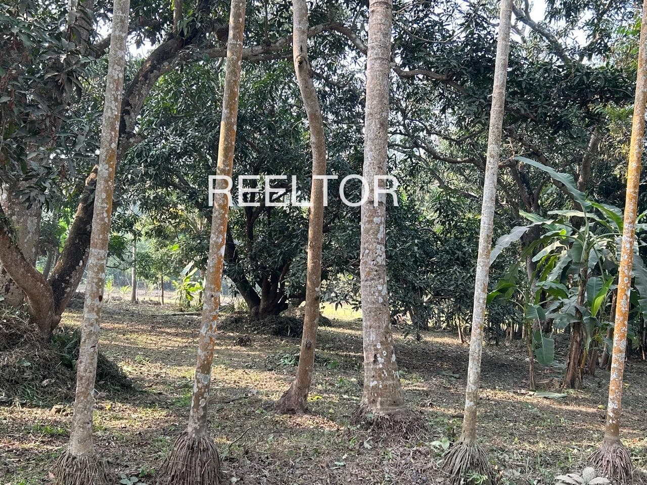 Buy 2 Bhk In Kotra Amru Sunam