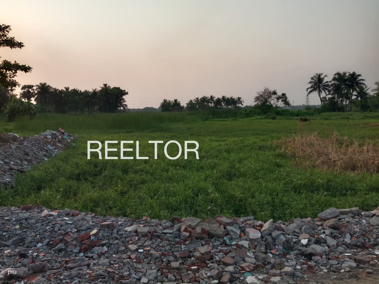 Buy 4 Bhk In Kathela Theog