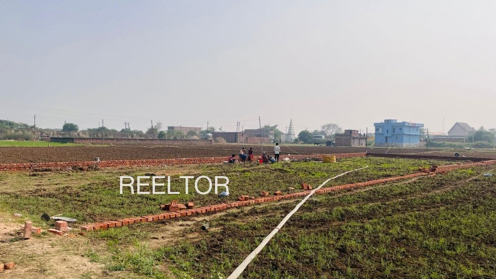 Explore 2 Bhk In Satnam Complex For Sale Sector 59