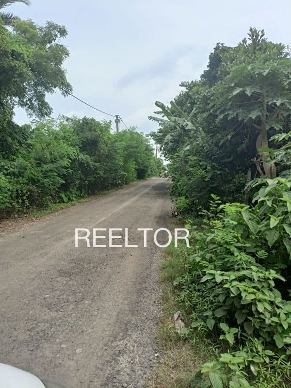 Buy 4 Bhk In Amamnagar Patiala