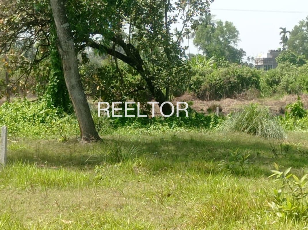 3 Bhk For Sale In Maddoke Moga