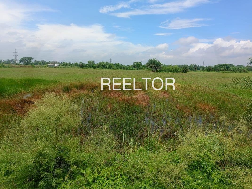 Available 3 Bhk In Halaila Chamba