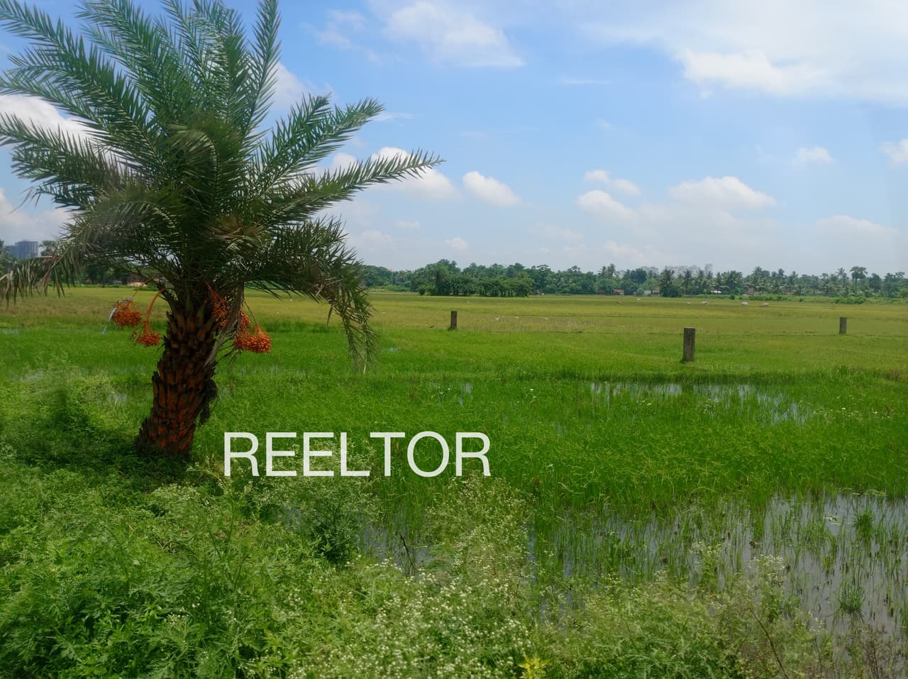 Buy 3 Bhk In Leda Narwar