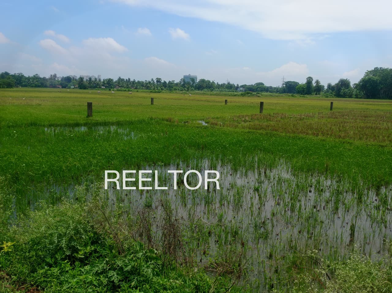 Available 3 Bhk In Karoli Rajgarh