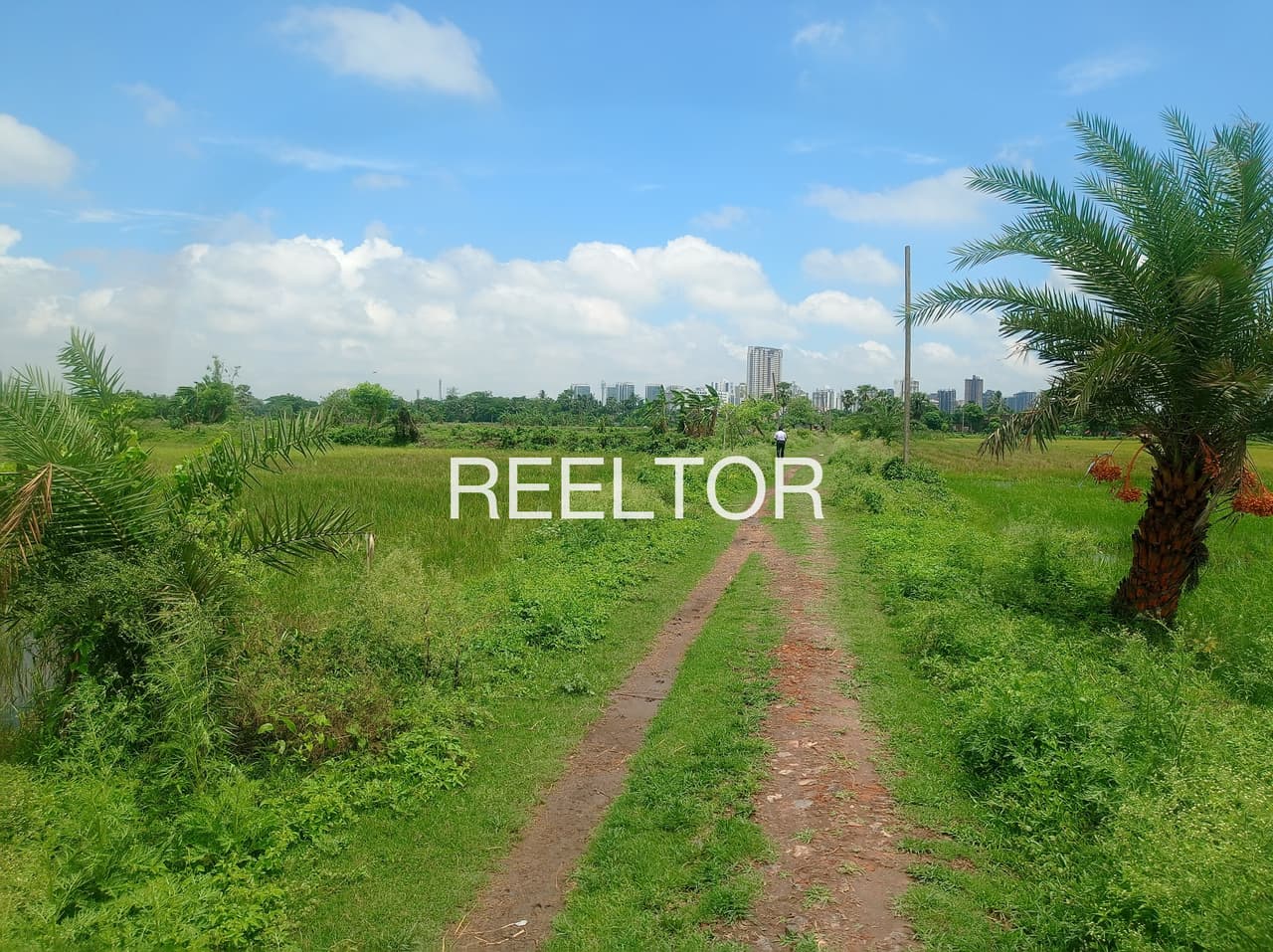 Buy 2 Bhk In Rathian Patiala