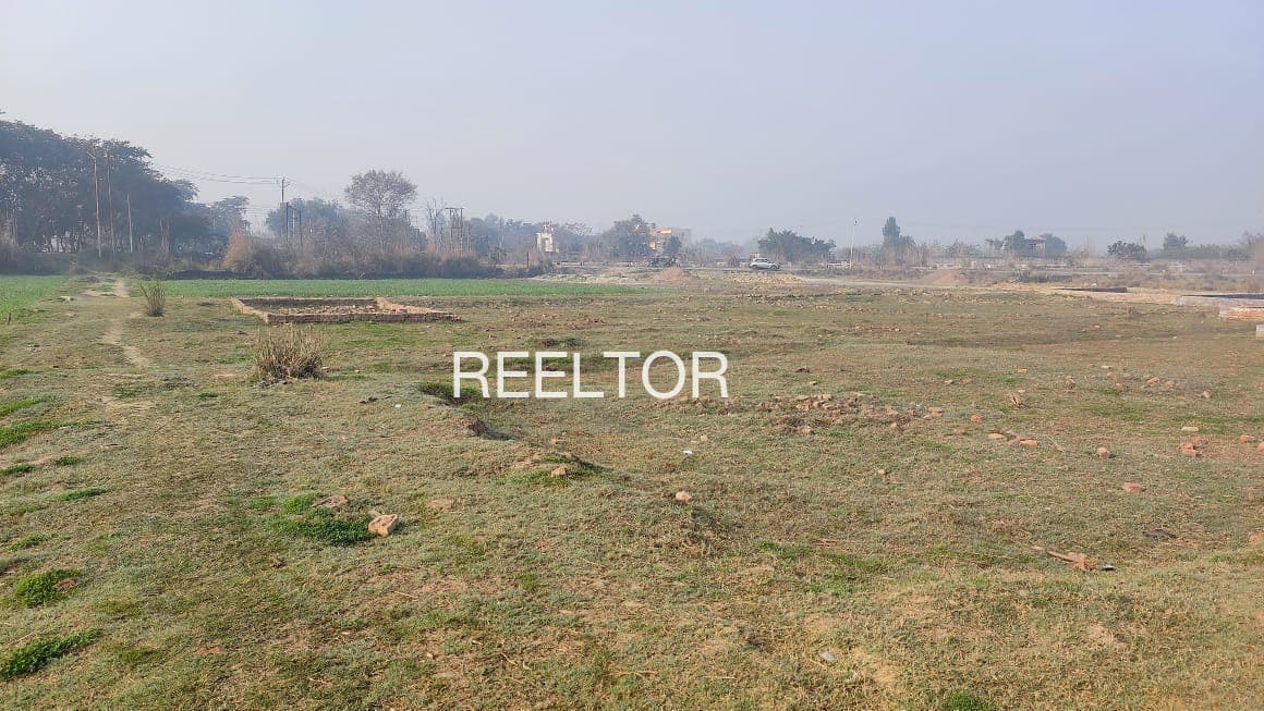 4 Bhk Properties For Rent In Kandasaril Dhanaulti