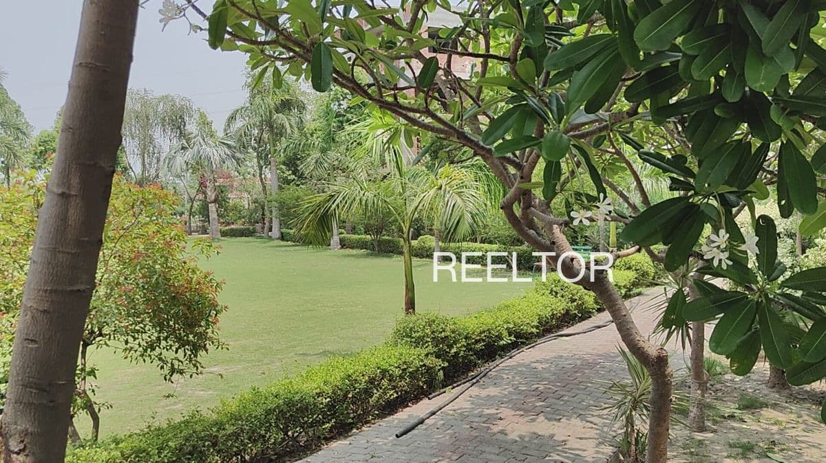 Available 2 Bhk In Tipra Chamba