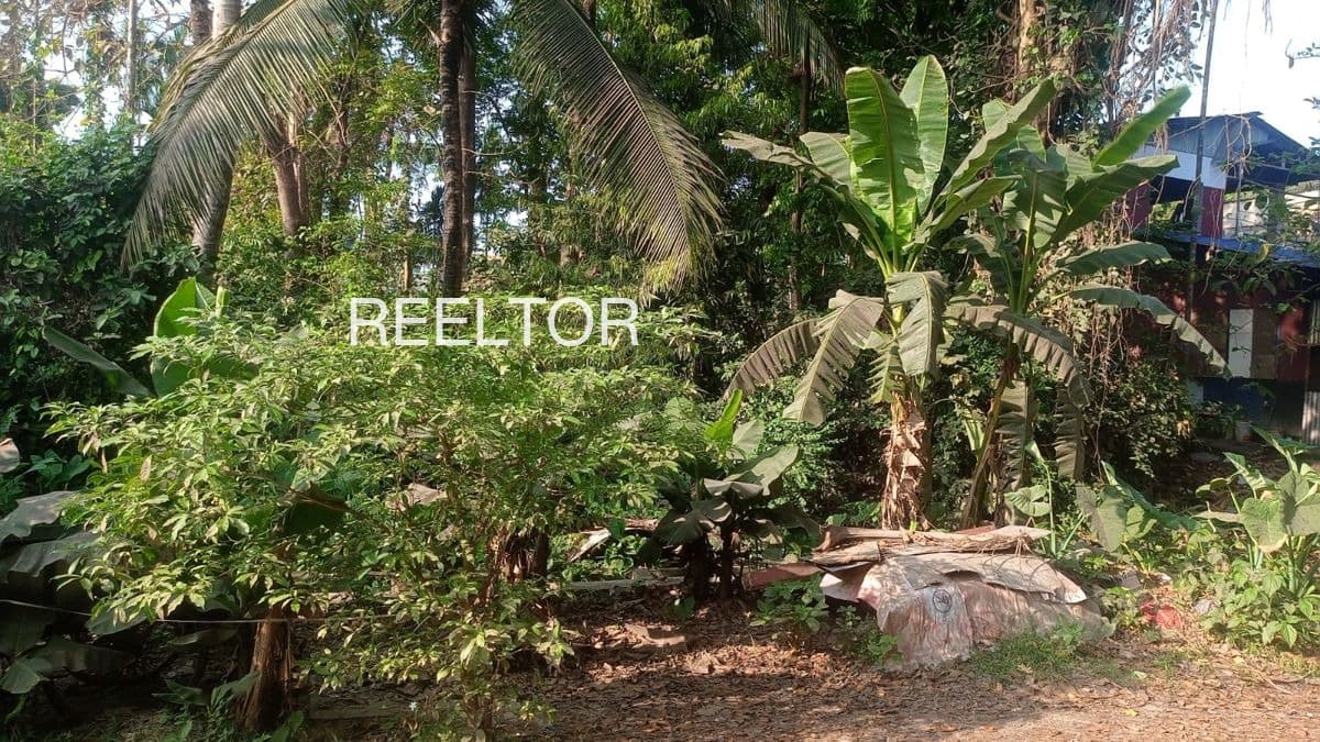 Available 2 Bhk In Datla Narwar