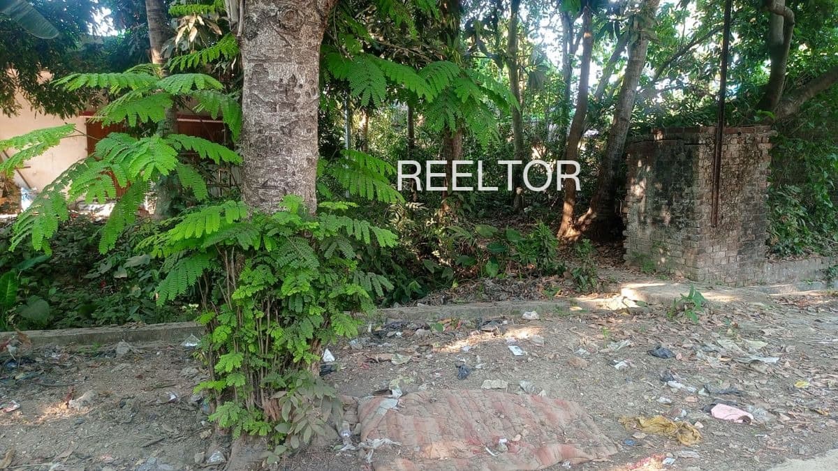 3 Bhk For Sale In Raulapalli Kabisuryanagar