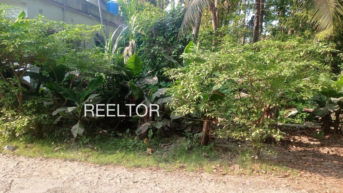 Available 4 Bhk In Kuttissery Kuttanad