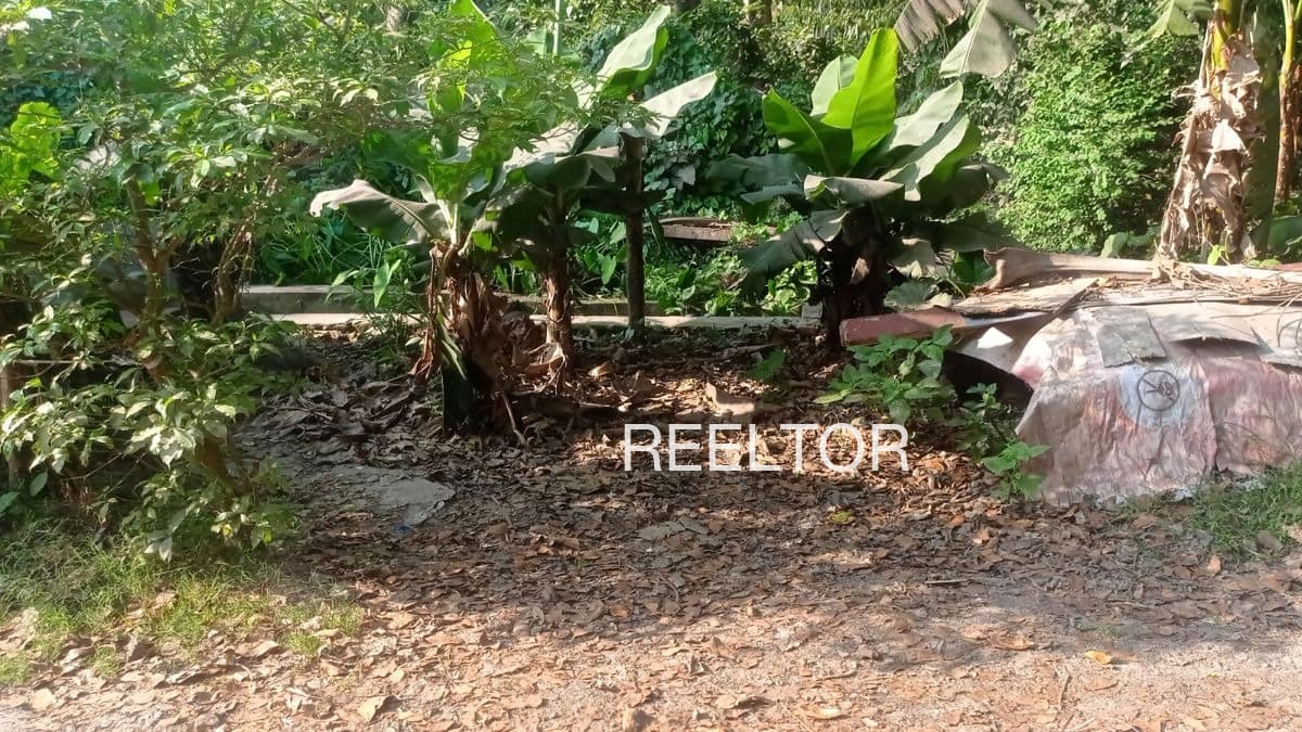 Plot For Sale In Mauganj