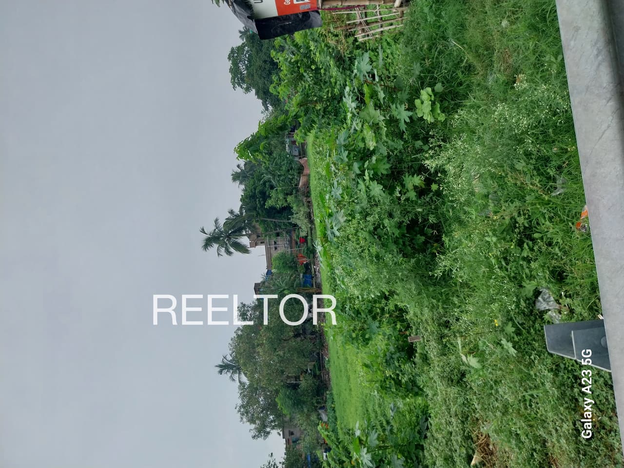 Buy 4 Bhk In Loton Chamba