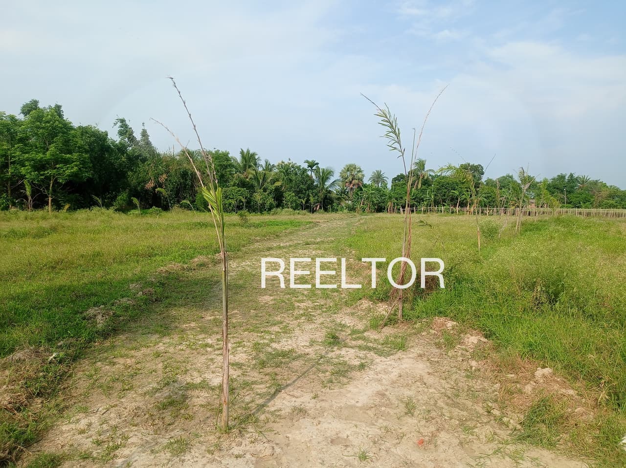 Available 3 Bhk In Dhalogi Kullu