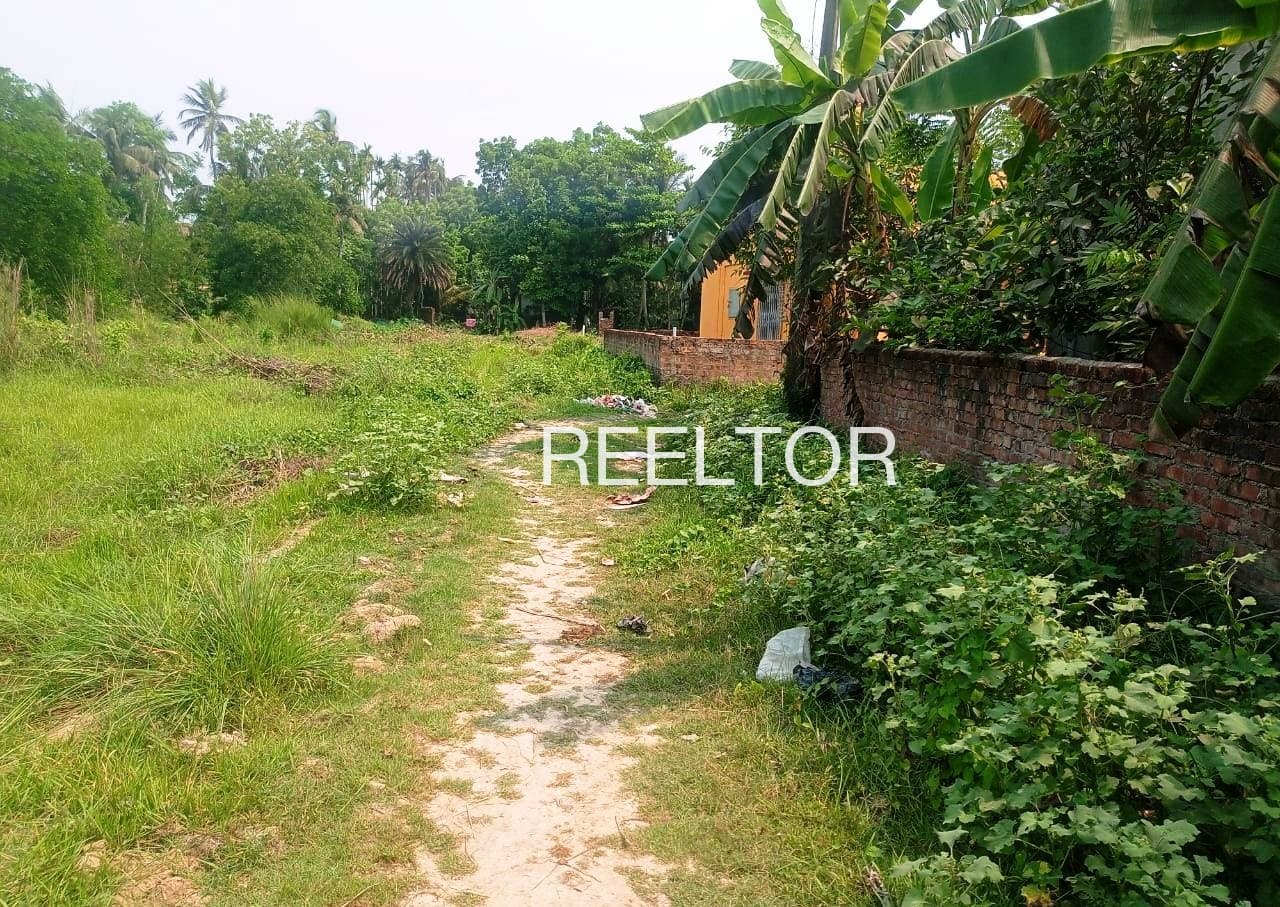 Available 2 Bhk In Arala Daryapur