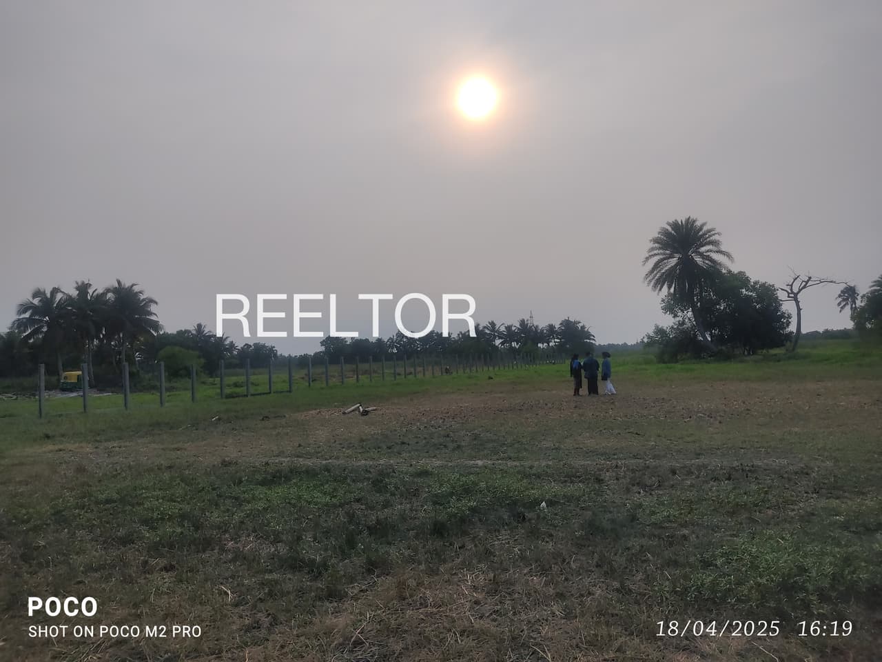Plot For Sale In Tulsipur