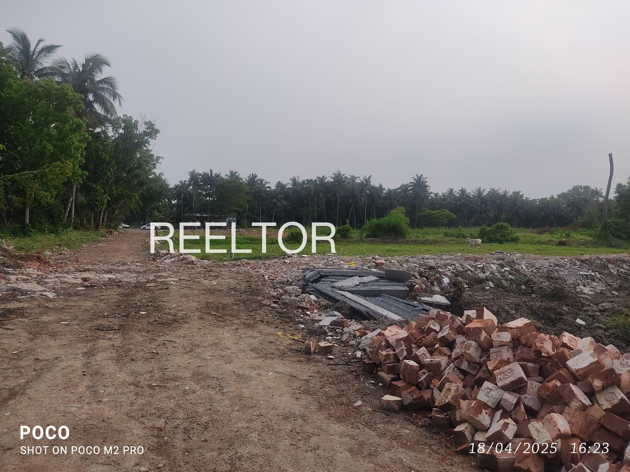 Plot For Sale In Keshod