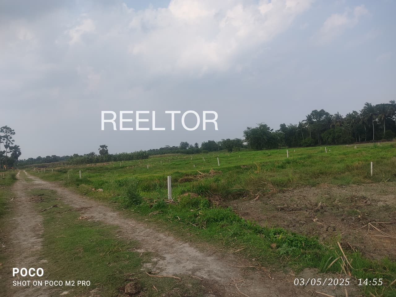 Available 3 Bhk In Chyar Shimla