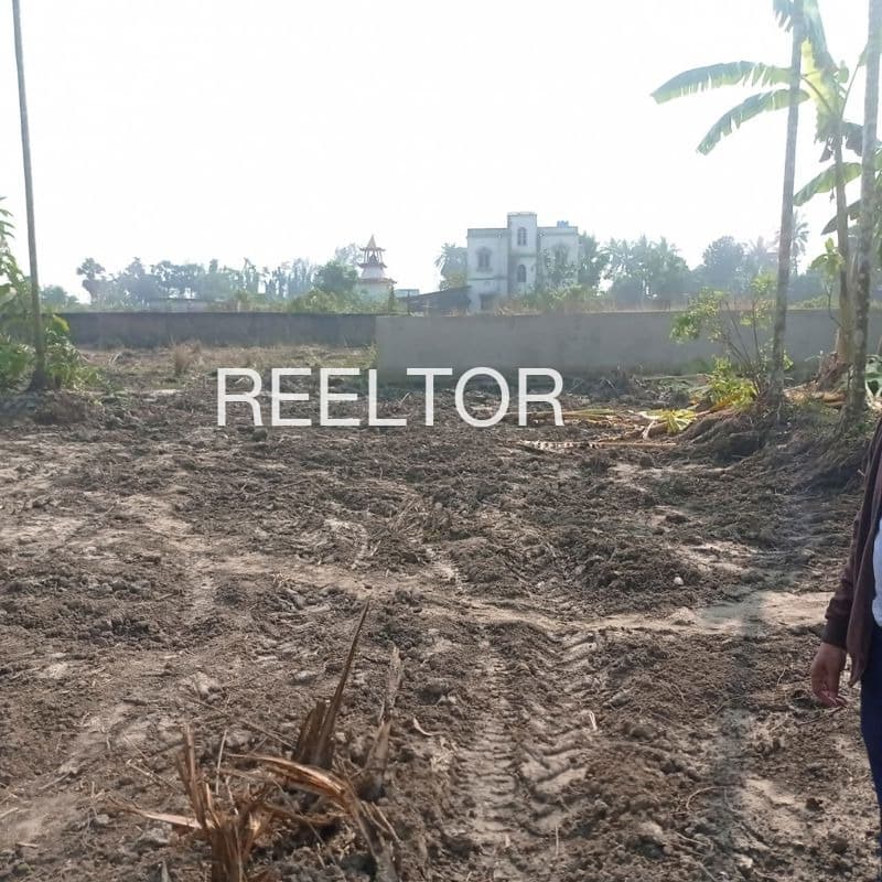 Buy 1 Bhk In Kalliasseri Kannur