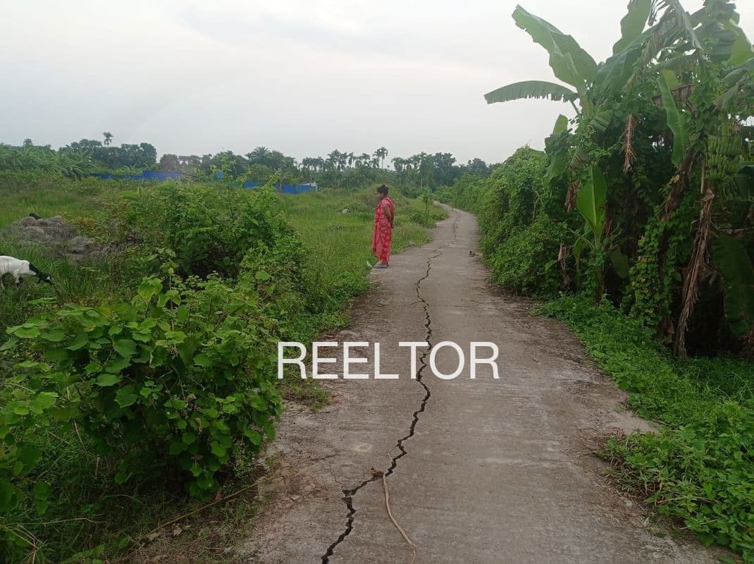 Buy Sale Plot In Chennai