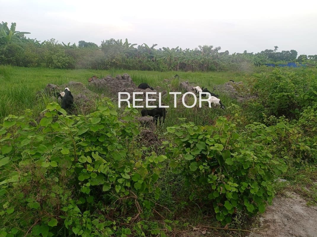 Buy 3 Bhk In Patil Brothers Complex Khargone