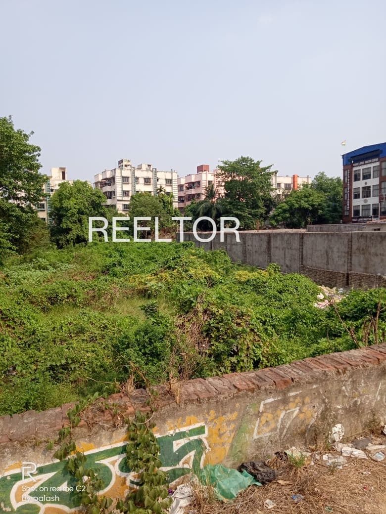 Plot For Sale In Tirwaganj