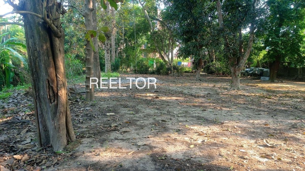 Buy 4 Bhk In Shillh Mandi