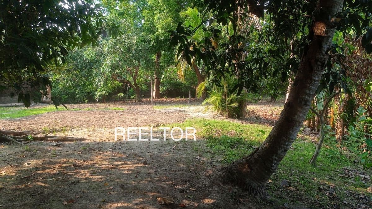 Plot For Sale In Keshod