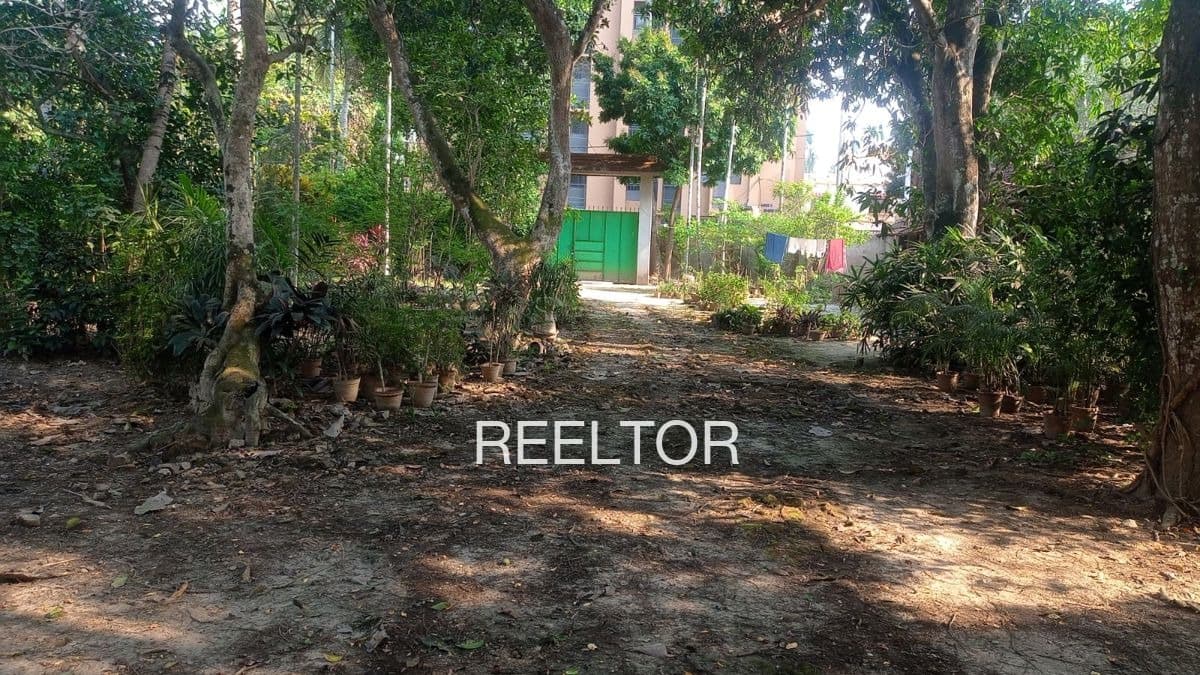 Available 3 Bhk In Jakrel Kullu