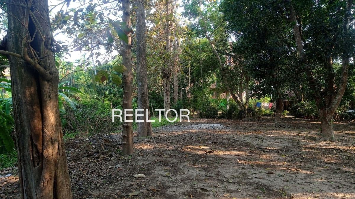 2 Bhk For Sale In Binaitola Tiroda