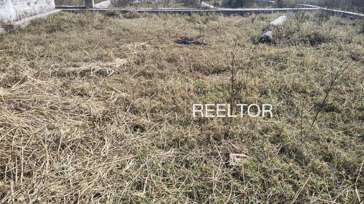 Explore 3 Bhk In Dehch For Sale Karsog