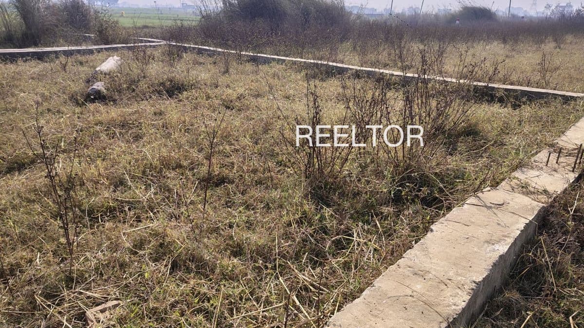 Available 1 Bhk In Urden Raisen