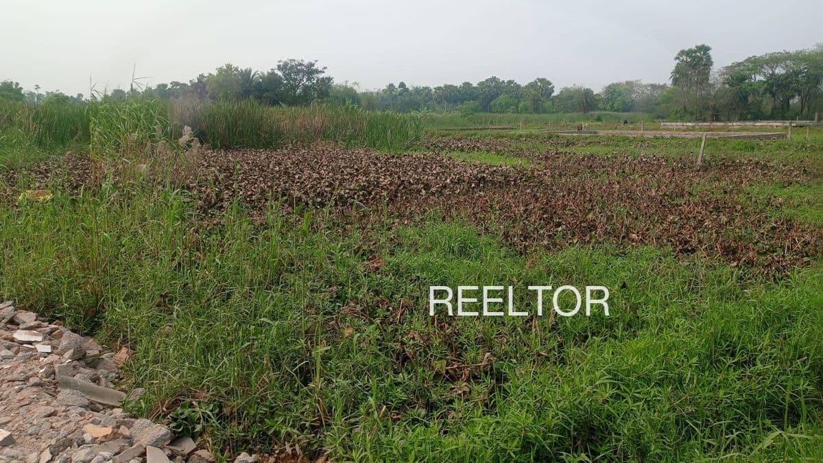 Buy 1 Bhk In Mundur Palakkad