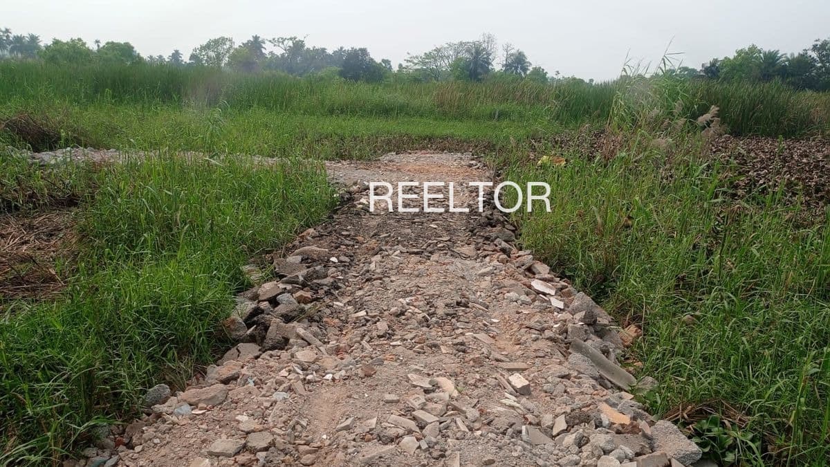 Plot For Sale In Nandura