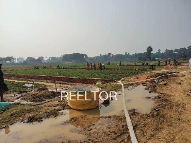 Explore 1 Bhk In Mansa Khurd For Sale Maur